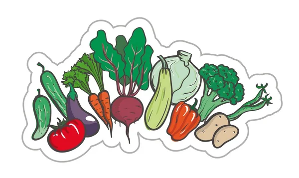 Des légumes. illustration colorée sur fond blanc — Image vectorielle