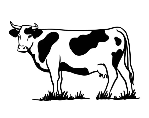 饲养牲畜。放牧奶牛的轮廓。在白色背景上孤立的向量图 — 图库矢量图片
