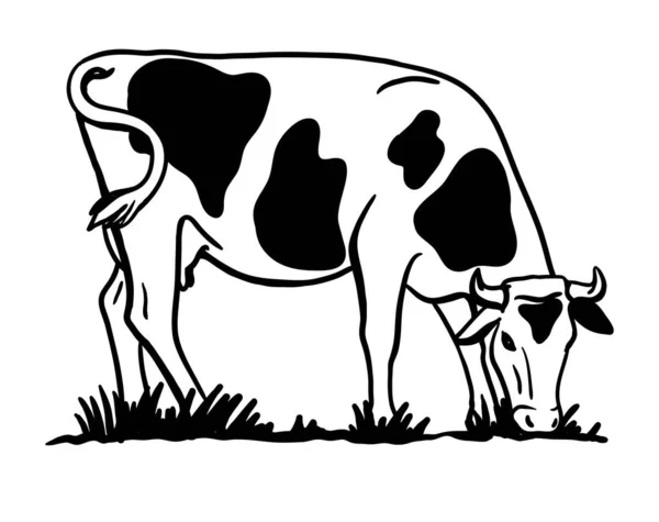 Sığır yetiştiriyor. Otlayan bir ineğin silueti. Beyaz arkaplanda izole edilmiş vektör illüstrasyonu — Stok Vektör