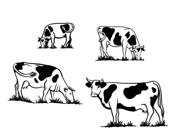 Chovám dobytek. silueta pasoucí se krávy. vektorové ilustrace izolované na bílém pozadí — Stockový vektor