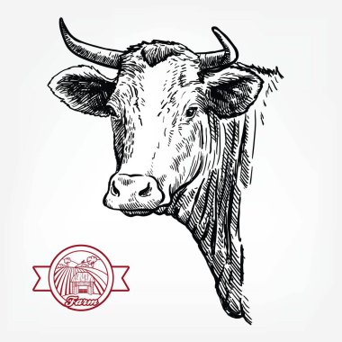 Sığır yetiştiriyor. Texas Longhorn 'un başı. Beyaz arkaplanda vektör çizimi