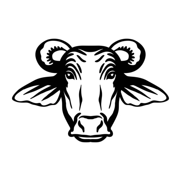 Reproducción de ganado. cabeza de vaca. croquis vectoriales sobre fondo blanco — Vector de stock