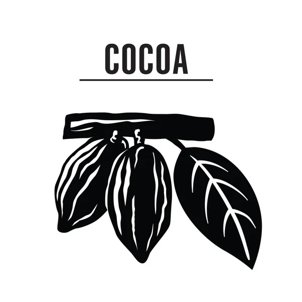 Cocoa beans illustration. hocolate cocoa beans. vector illustration isolated on white background — Stock Vector