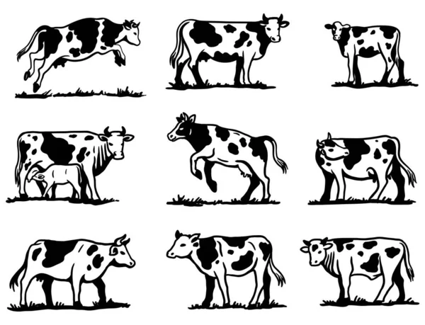 소의 번식. 동물의 목축업. 배경이 회색인 스케치들 로열티 프리 스톡 일러스트레이션