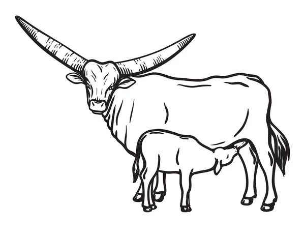养鸡畜牧业。牲畜。白色背景上的矢量草图 — 图库矢量图片