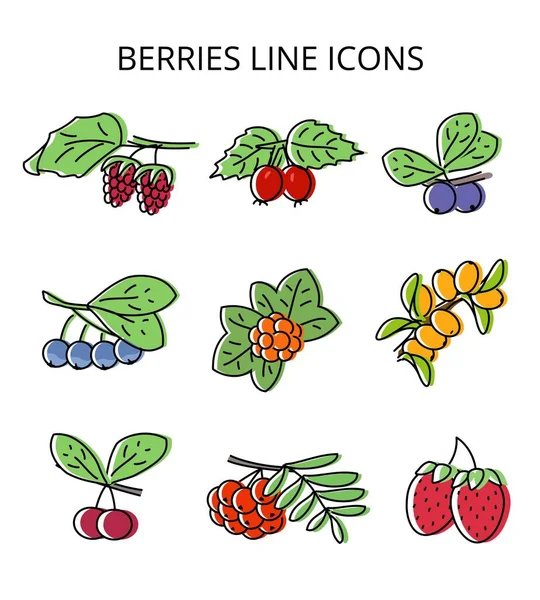 Set of natural berries. vector illustration in flat style — Stock Vector