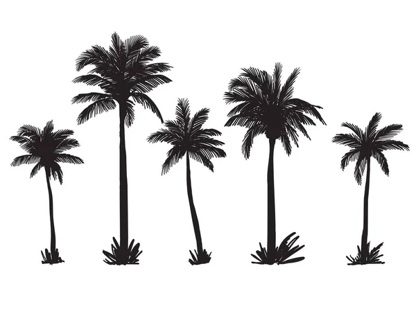 Silhouetten van palmbomen op een wild strand. vectorschets op witte achtergrond — Stockvector