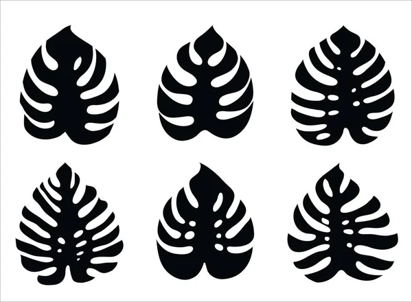 Hojas de Monstera. conjunto de iconos vectoriales aislados sobre fondo blanco — Vector de stock