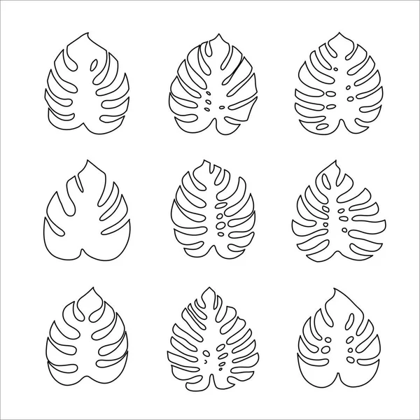 Hojas de Monstera. conjunto de iconos vectoriales aislados sobre fondo blanco — Archivo Imágenes Vectoriales