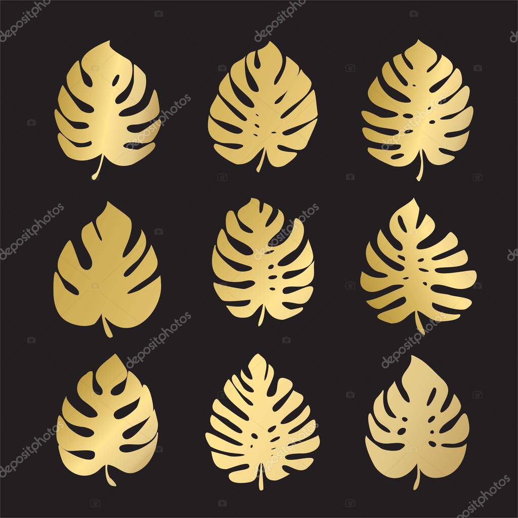 Monstera leaves. set of vector color icons isolated on black background.