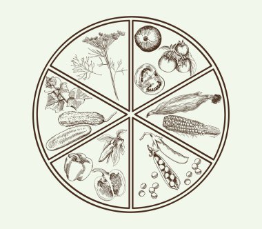 sebzeler elle çizilmiş vektör