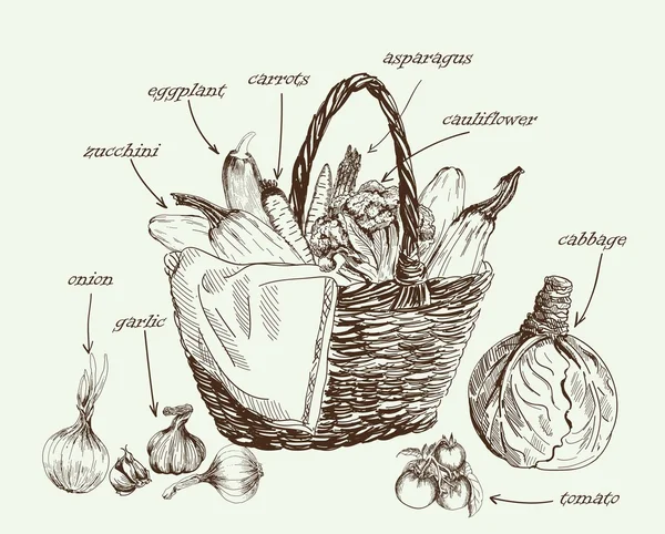 Vetor de vegetais desenhado à mão — Vetor de Stock