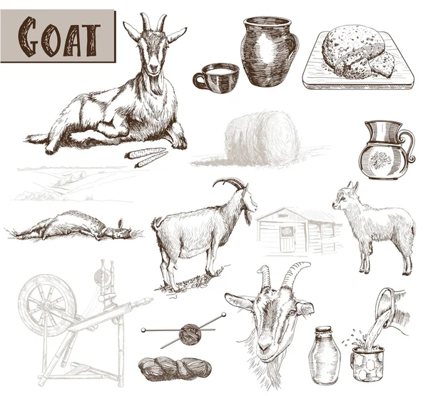 Cabras reproductoras — Vector de stock