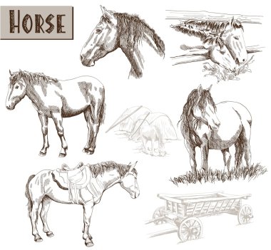 Atların Silhouettes