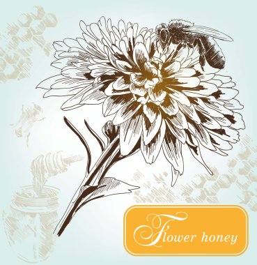 Honeybees on a comb clipart