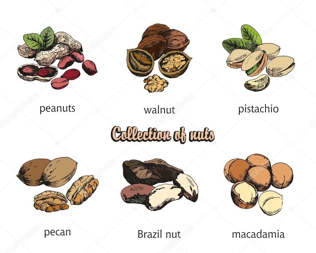 six kinds of nuts