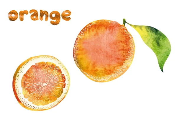 Oranye yang indah - Stok Vektor