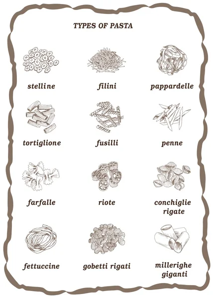Types of pasta — Stock Vector