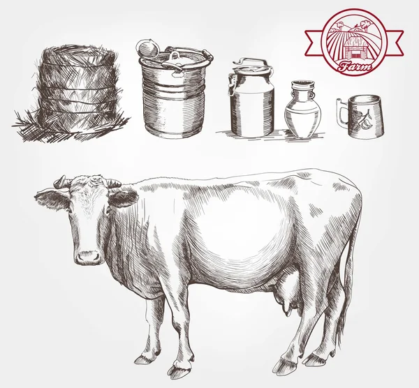 Vache et produits laitiers — Image vectorielle