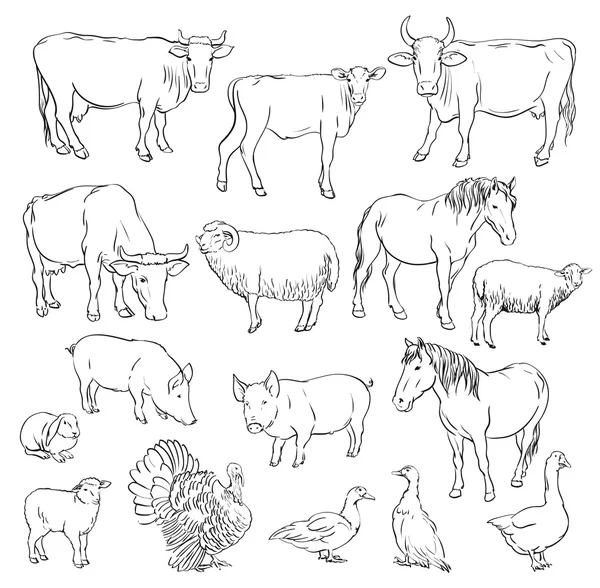 Animaux de ferme — Image vectorielle