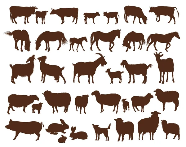 Farm animals — Stock Vector