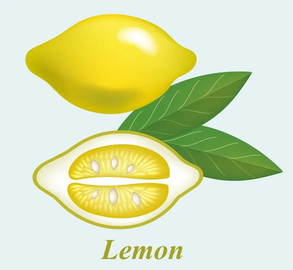 Bellissimo limone giallo — Vettoriale Stock