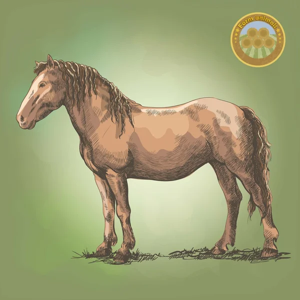 Caballo de pie — Vector de stock