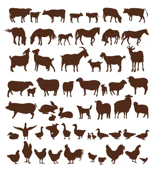 Animales de granja — Archivo Imágenes Vectoriales
