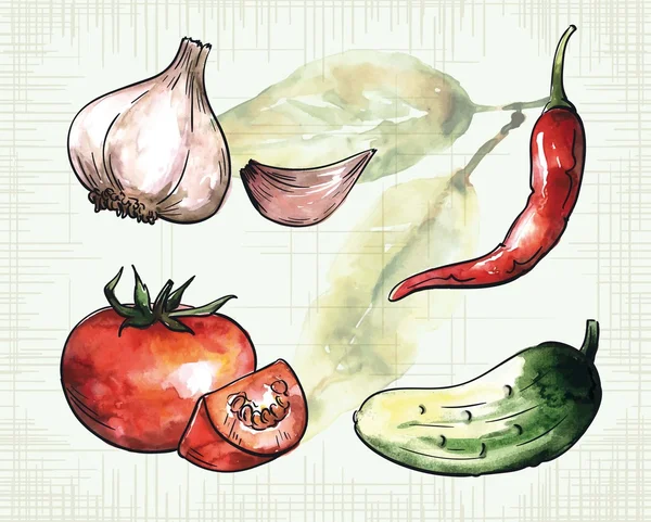 Ensemble de légumes colorés — Image vectorielle