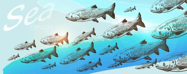 Banc de poissons — Image vectorielle