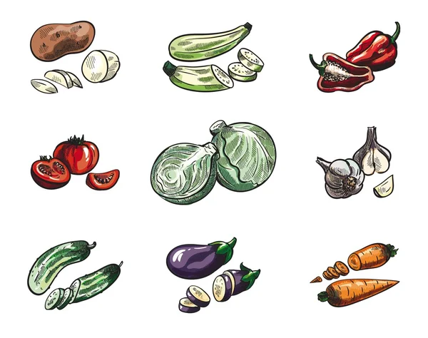 Verduras cor — Vetor de Stock