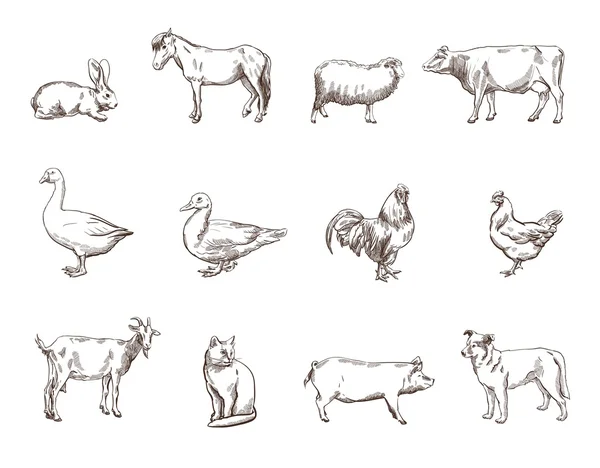 Animales de granja — Vector de stock