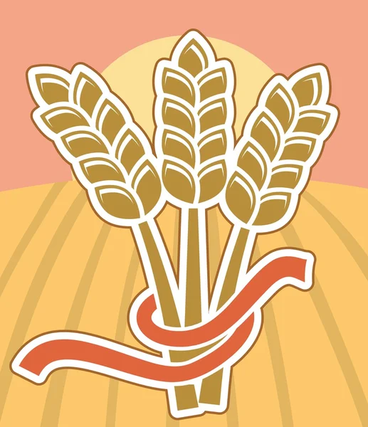 Wheat ears — Stock Vector