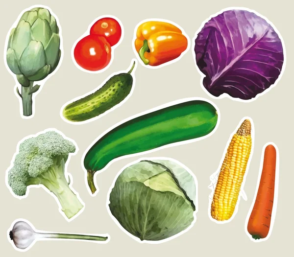 Sada zeleniny — Stockový vektor
