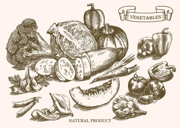 Stilleven van groenten — Stockvector