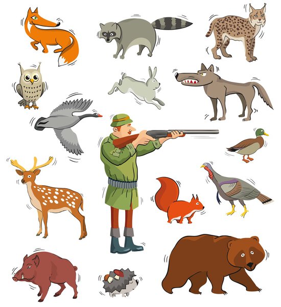 hunter and wild animals