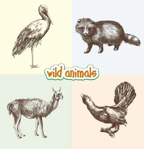 Animaux sauvages — Image vectorielle