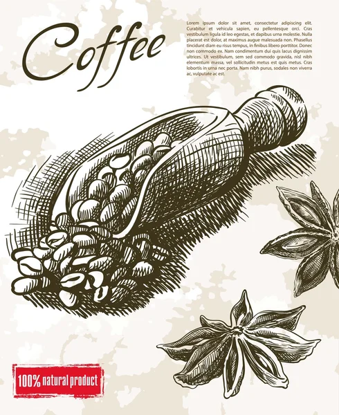 Кофе-бобы фон — стоковый вектор