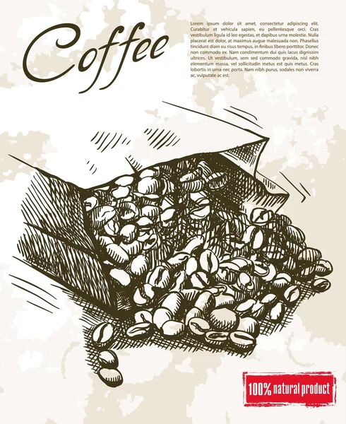 Achtergrond koffiebonen — Stockvector