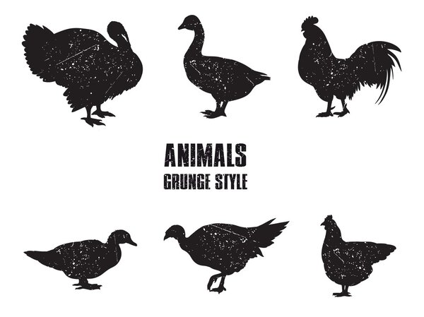 farm animals icon