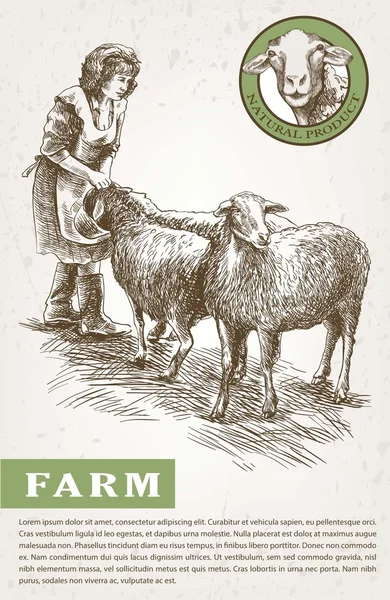 Bosquejo de cría de ovejas — Vector de stock