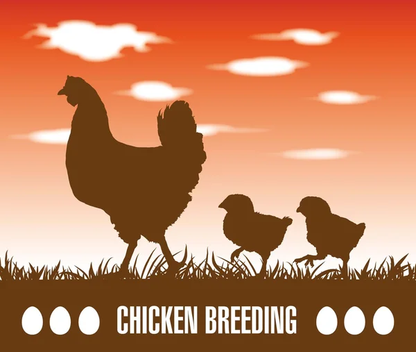 Galline e polli — Vettoriale Stock