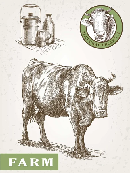 Vaca y productos lácteos — Vector de stock