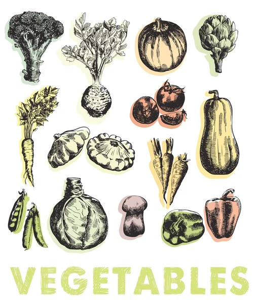 Grönsaker vektor hand dras — Stock vektor