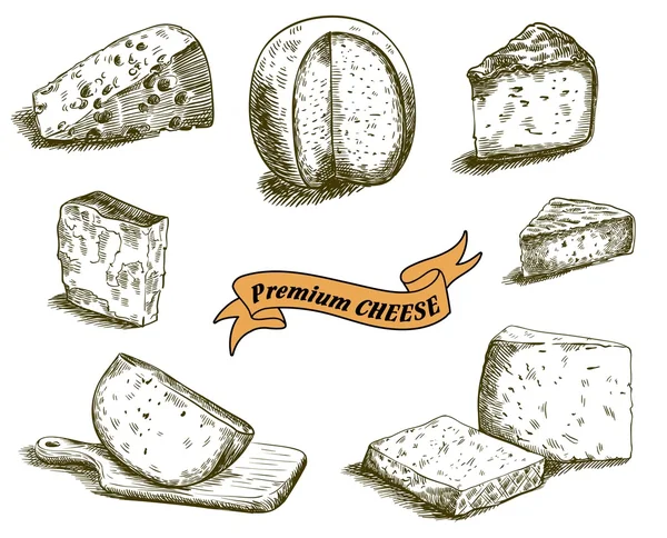 Natural cheese sketches — Stock Vector