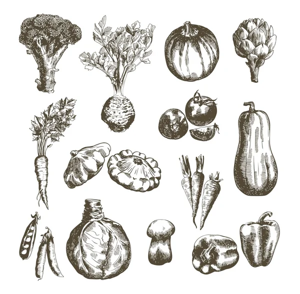 Vegetales vector dibujado a mano — Archivo Imágenes Vectoriales