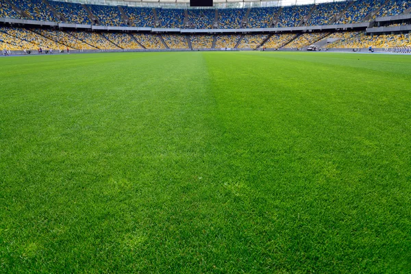 Зеленая трава на стадионе — стоковое фото