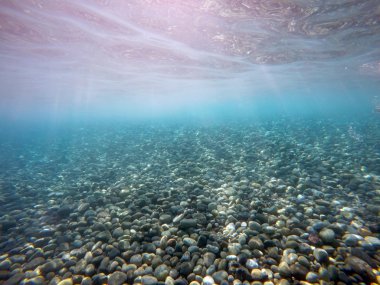 çakıl deniz dibinin üzerinde