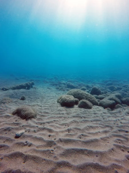 Dunas de areia no fundo do mar — Fotografia de Stock