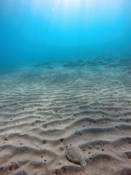 Dunas de arena en el fondo del mar — Foto de Stock